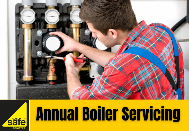 annual boiler servicing Paddock Wood