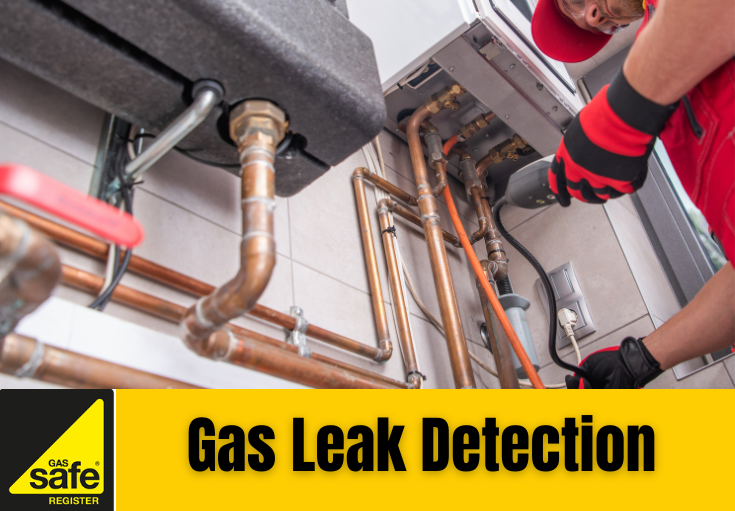 gas leak detection Paddock Wood